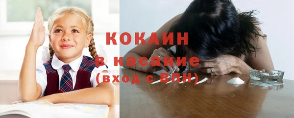 apvp Богородицк