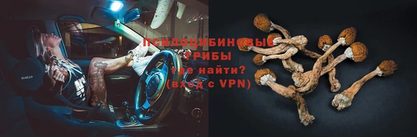 apvp Богородицк