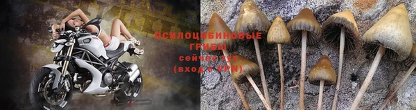 мескалин Бугульма