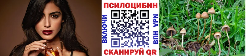 Псилоцибиновые грибы Psilocybine cubensis  Купить закладки  Заинск 
